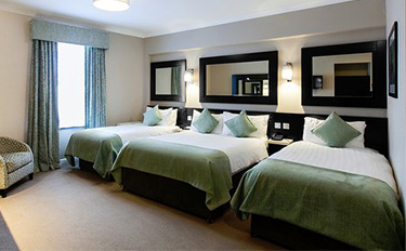 Phòng Cơ Bản Dallas Homestay Đà Nẵng